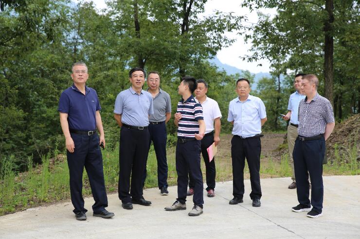 中國能建總經(jīng)理、黨委副書記孫洪水一行赴陜西鎮(zhèn)巴縣調(diào)研定點扶貧工作