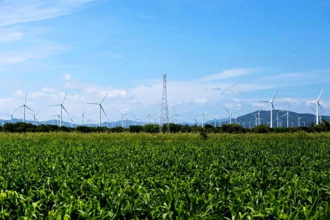 收購(gòu)墨西哥818MW光伏電站，國(guó)家電投境外光伏電站裝機(jī)超6GW