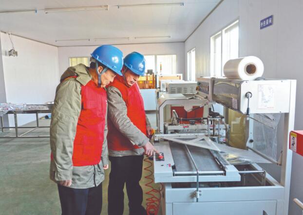 濱?？h供電公司：白首烏產業(yè)發(fā)展充上“滿格電”