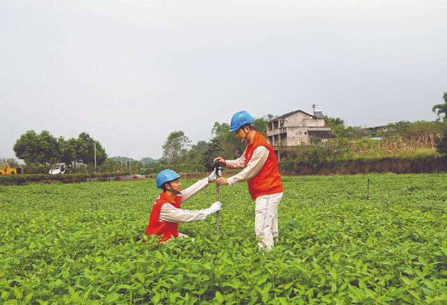 重慶璧山：黨員設(shè)崗定責 服務產(chǎn)業(yè)發(fā)展