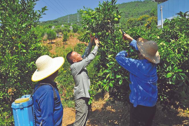 王國洲：把村事當家事，把村民當親人