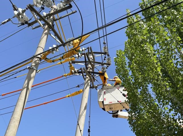 帶電作業(yè)除隱患，安全供電有保障