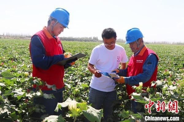 新疆啟動2023年秋糧生產(chǎn)供電服務保障專項行動